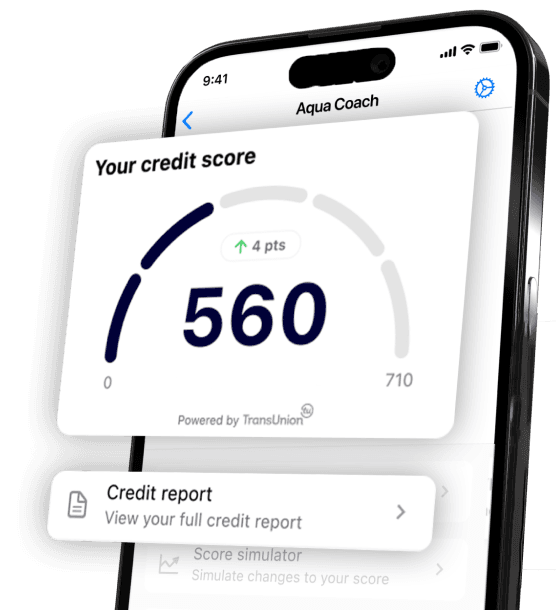 Phone screen displaying a credit score