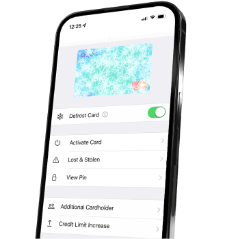 Phone screen showing the freeze card funtionality